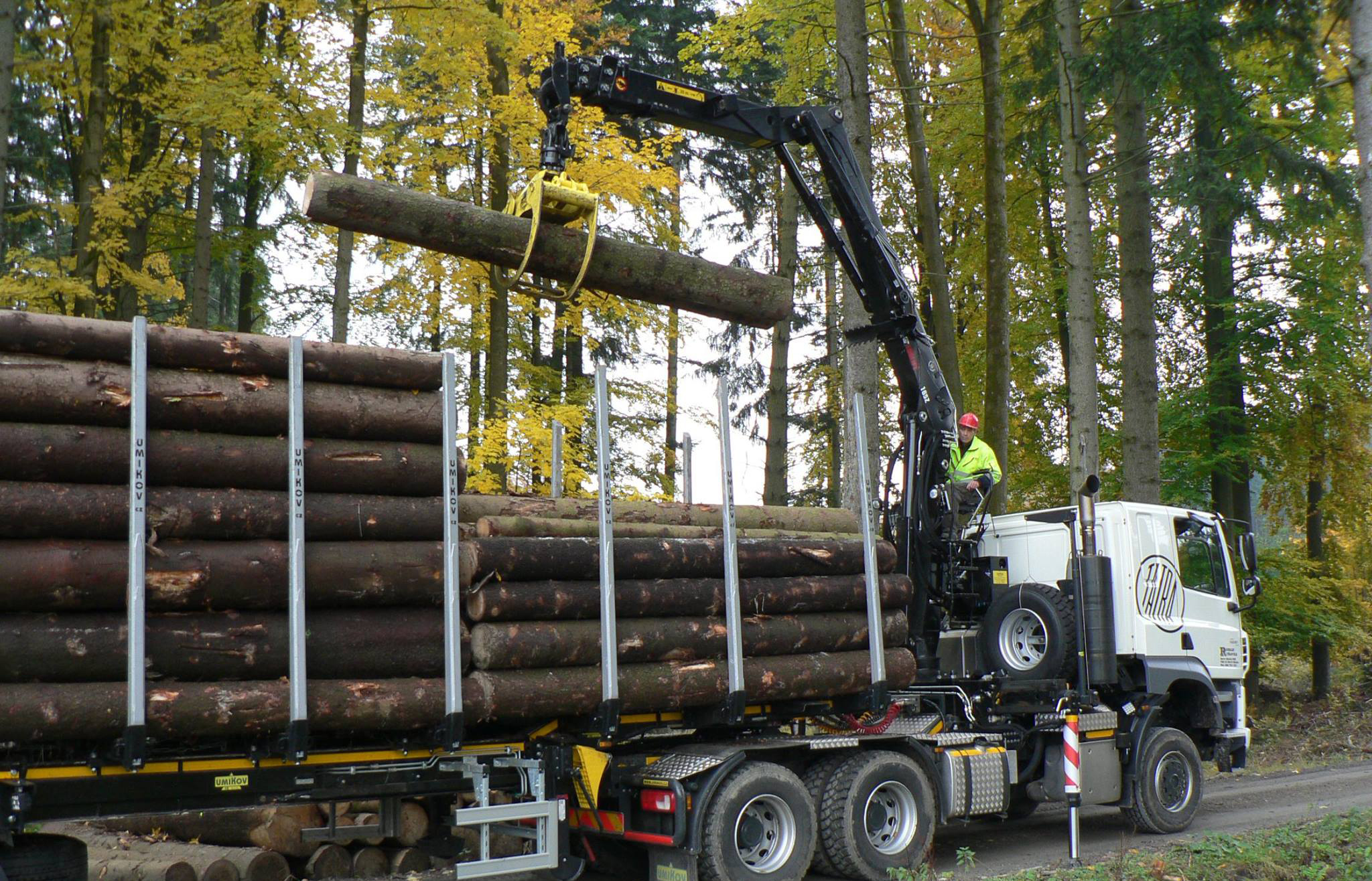 (´・ω・｀) 　LYFT LOGLIFT 165Z | Żurawie leśne | Hiab